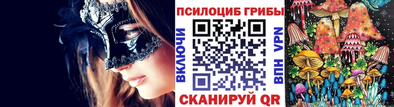Купить Ульяновск Псилоцибиновые грибы Cubensis